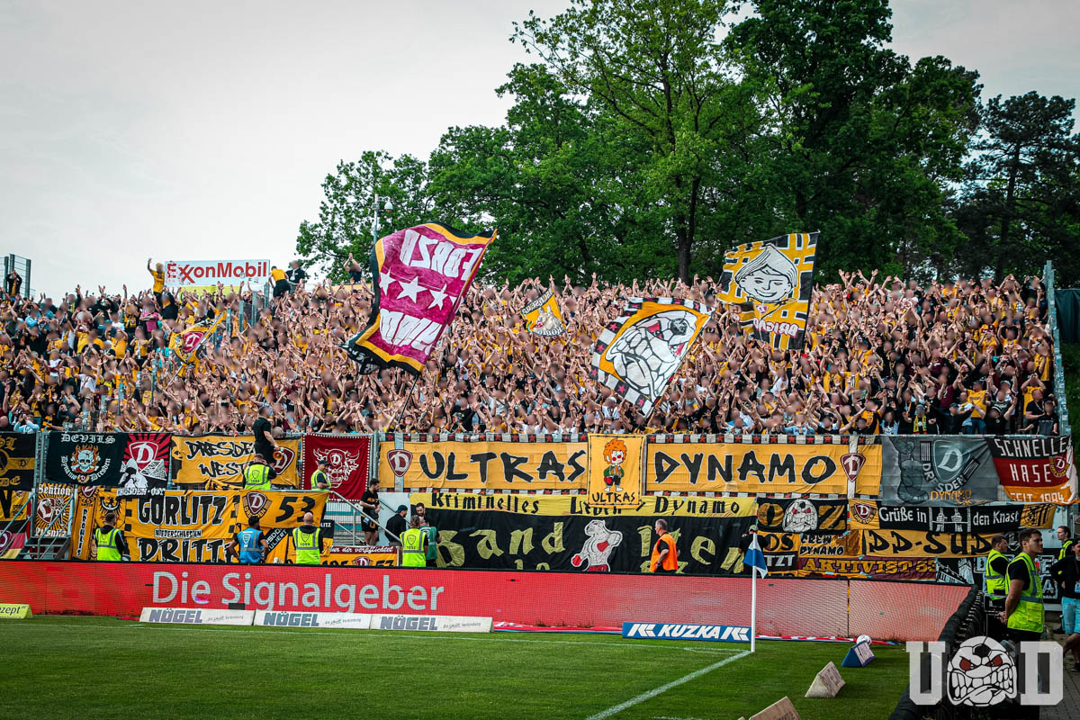 22 23 37 SV Meppen Vs SG Dynamo Dresden ULTRAS DYNAMO 22 23 37 SV Meppen Vs SG Dynamo Dresden ULTRAS DYNAMO